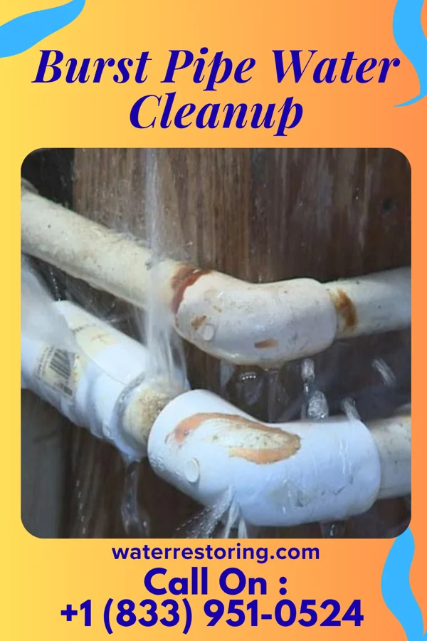 Burst Pipe Water Cleanup in Bull Valley, IL