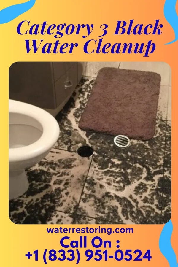 Category 3 Black Water Cleanup in Bull Valley, IL