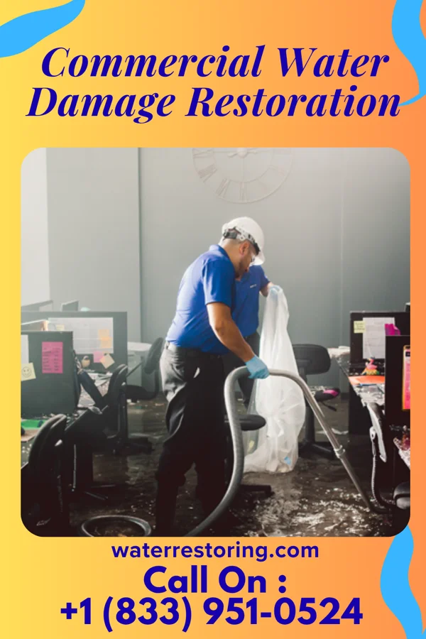 Commercial Water Damage Restoration in Bull Valley, IL