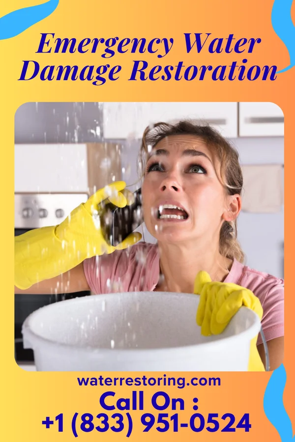 Emergency Water Damage Restoration in Bull Valley, IL