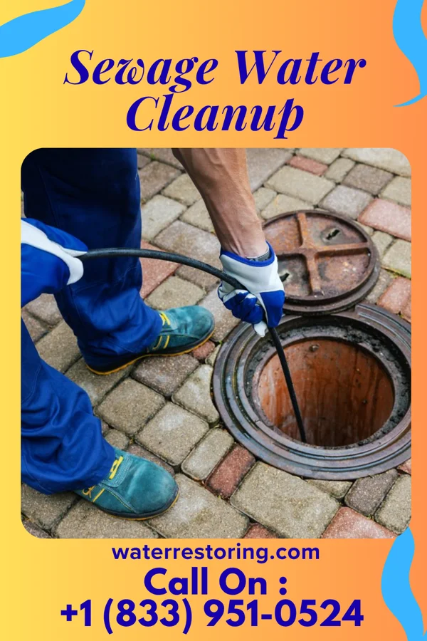 Sewage Water Cleanup in Bull Valley, IL