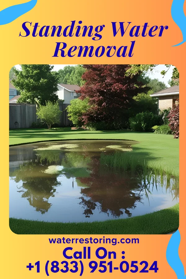 Standing Water Removal in Bull Valley, IL